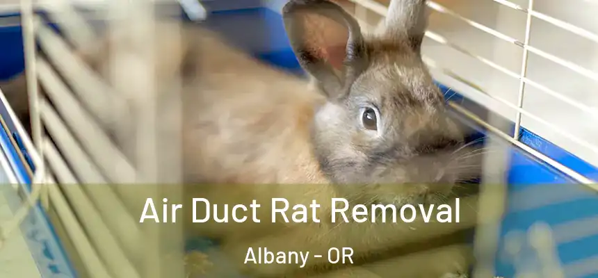  Air Duct Rat Removal Albany - OR