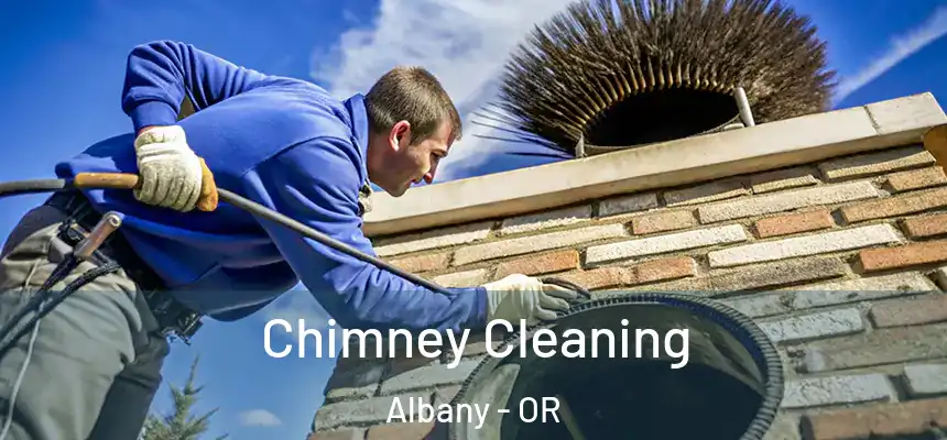  Chimney Cleaning Albany - OR