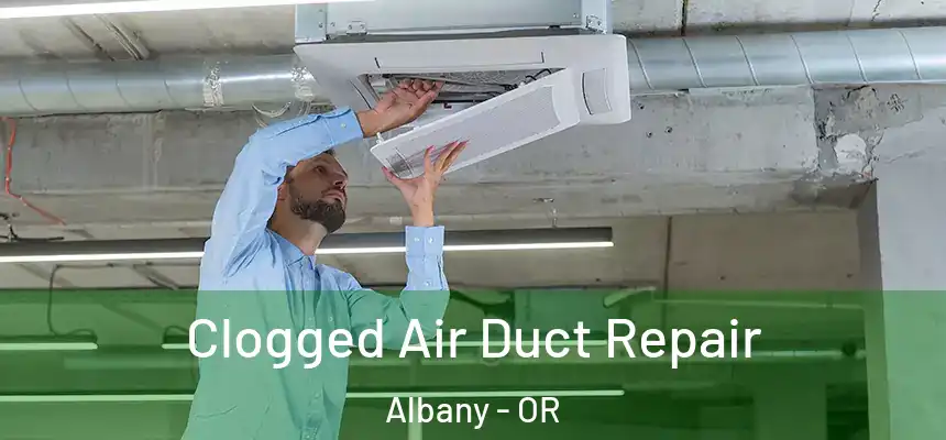  Clogged Air Duct Repair Albany - OR