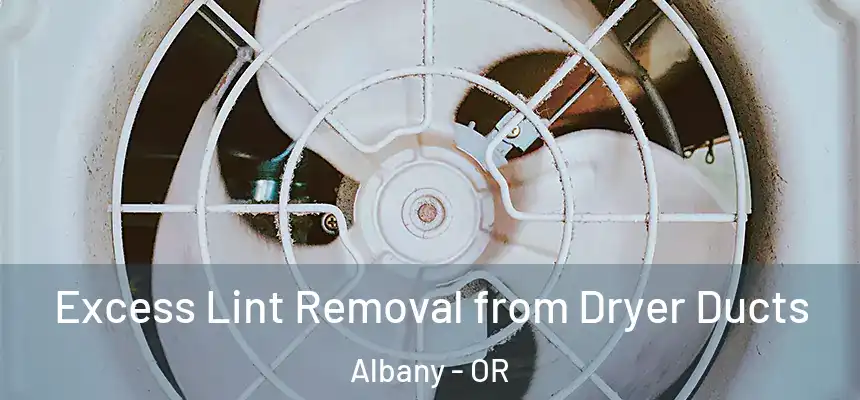  Excess Lint Removal from Dryer Ducts Albany - OR