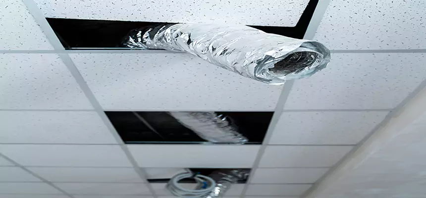 Our Air Duct Pet Hair Removal Services in Albany, OR