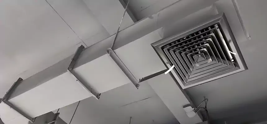 Our Pest Removal From Ducts Services in Albany, OR