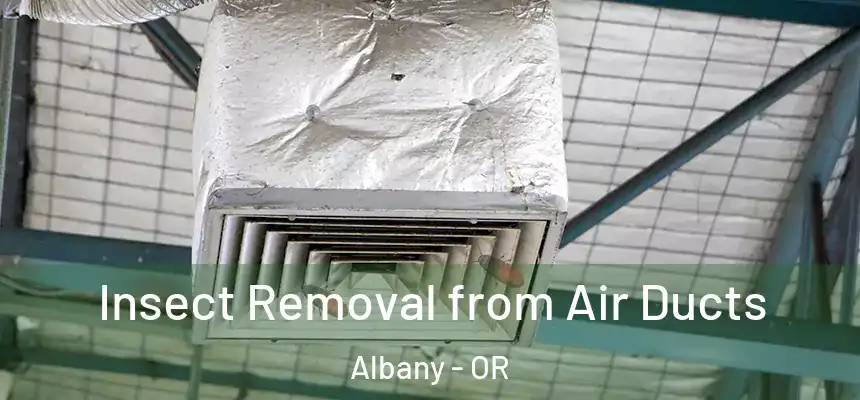  Insect Removal from Air Ducts Albany - OR