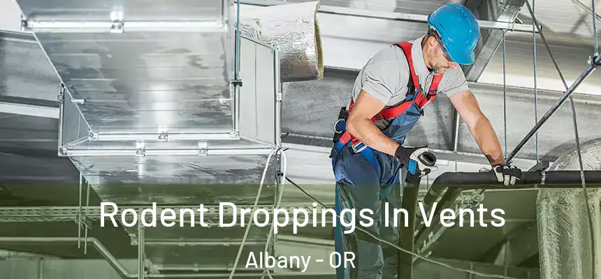  Rodent Droppings In Vents Albany - OR