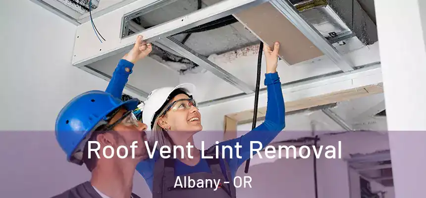  Roof Vent Lint Removal Albany - OR