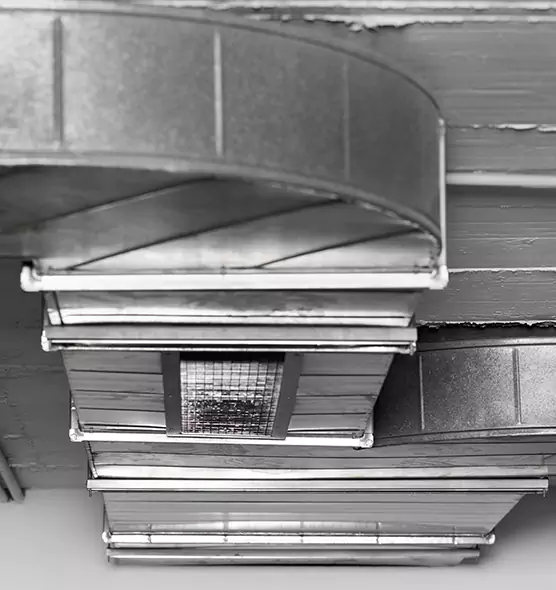 Professional Air Duct Pest Removal in Albany, OR