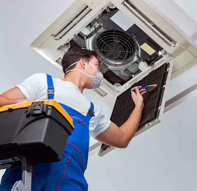 Why Homeowners & Businesses Trust Us in Albany, OR