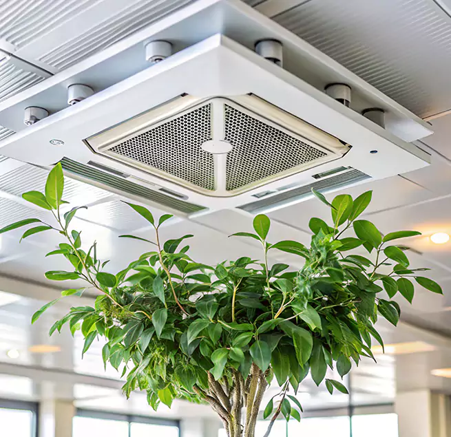 Why Homeowners & Businesses Trust Us in Albany, OR