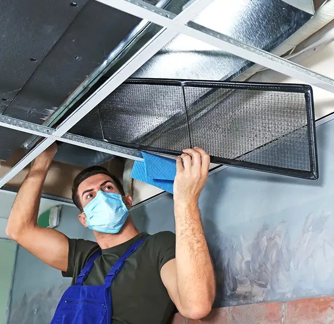 Why Homeowners & Businesses Trust Us in Albany, OR?