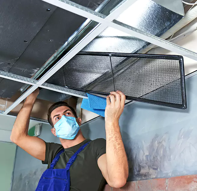 Why Homeowners & Businesses Trust Us in Albany, OR?